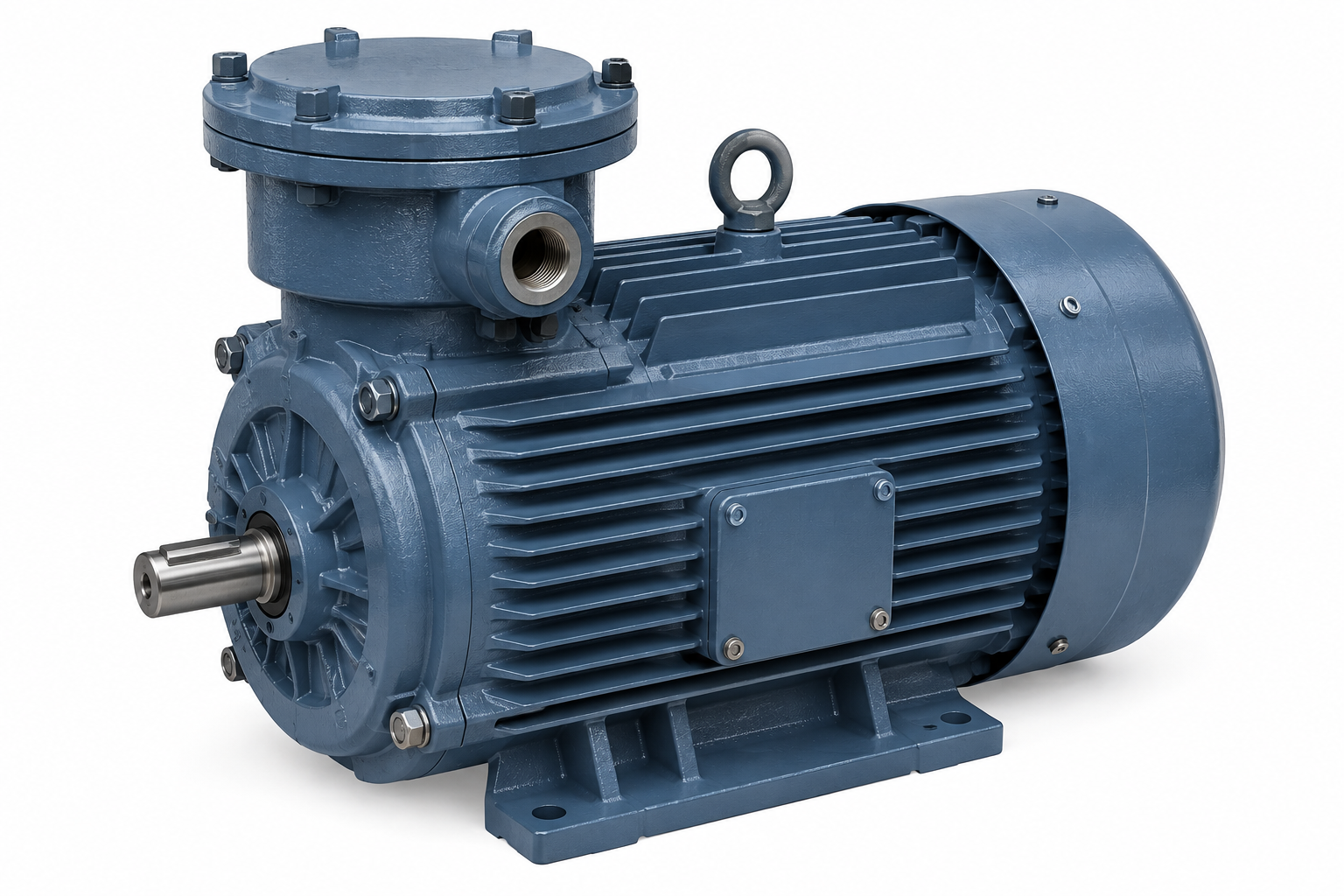 Flame Proof Three Phase Induction Motor